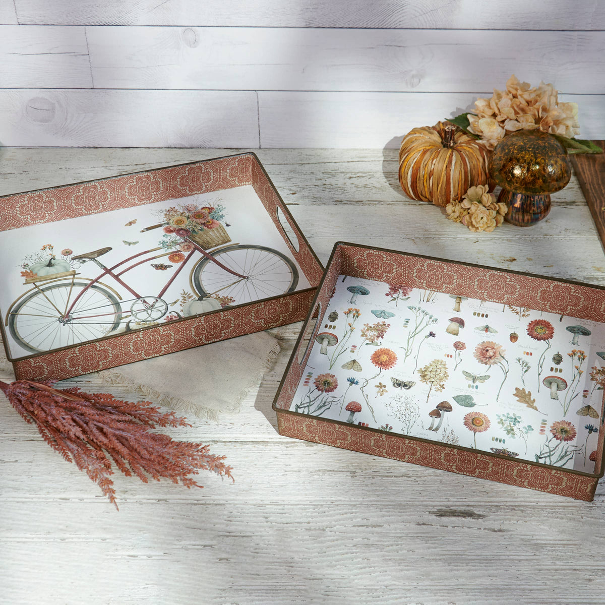 Fall / Bike Tray