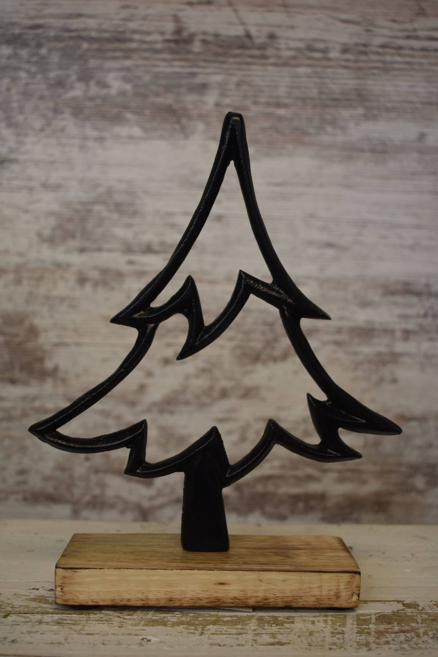 Black Hollow Tree