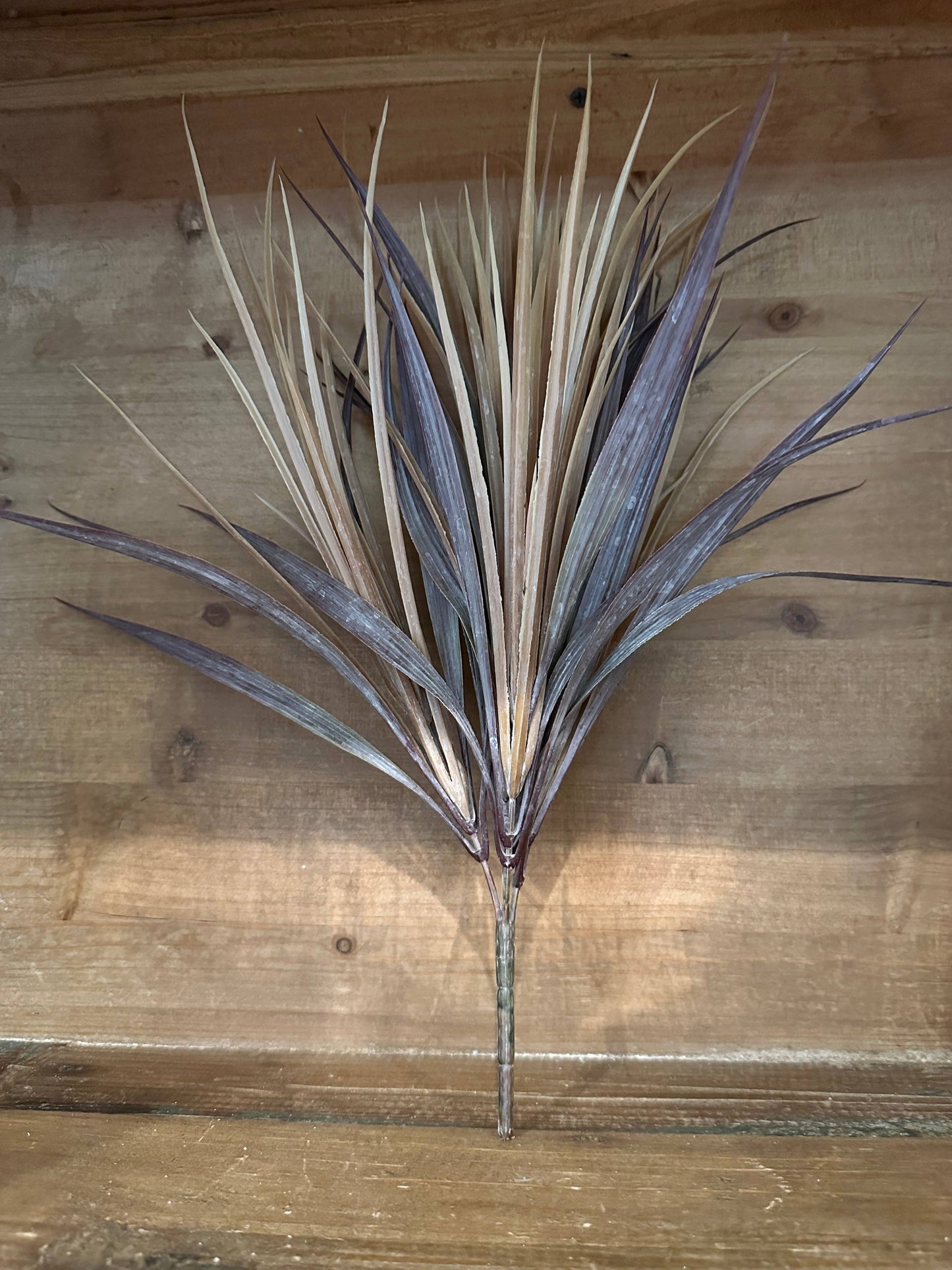 Eggplant Fall Grass Bush