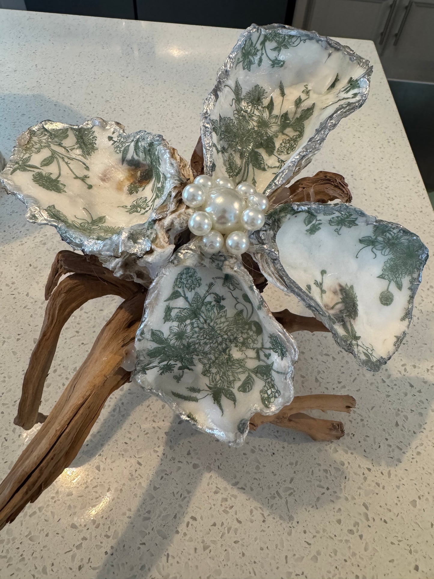 Oyster Shell On Driftwood