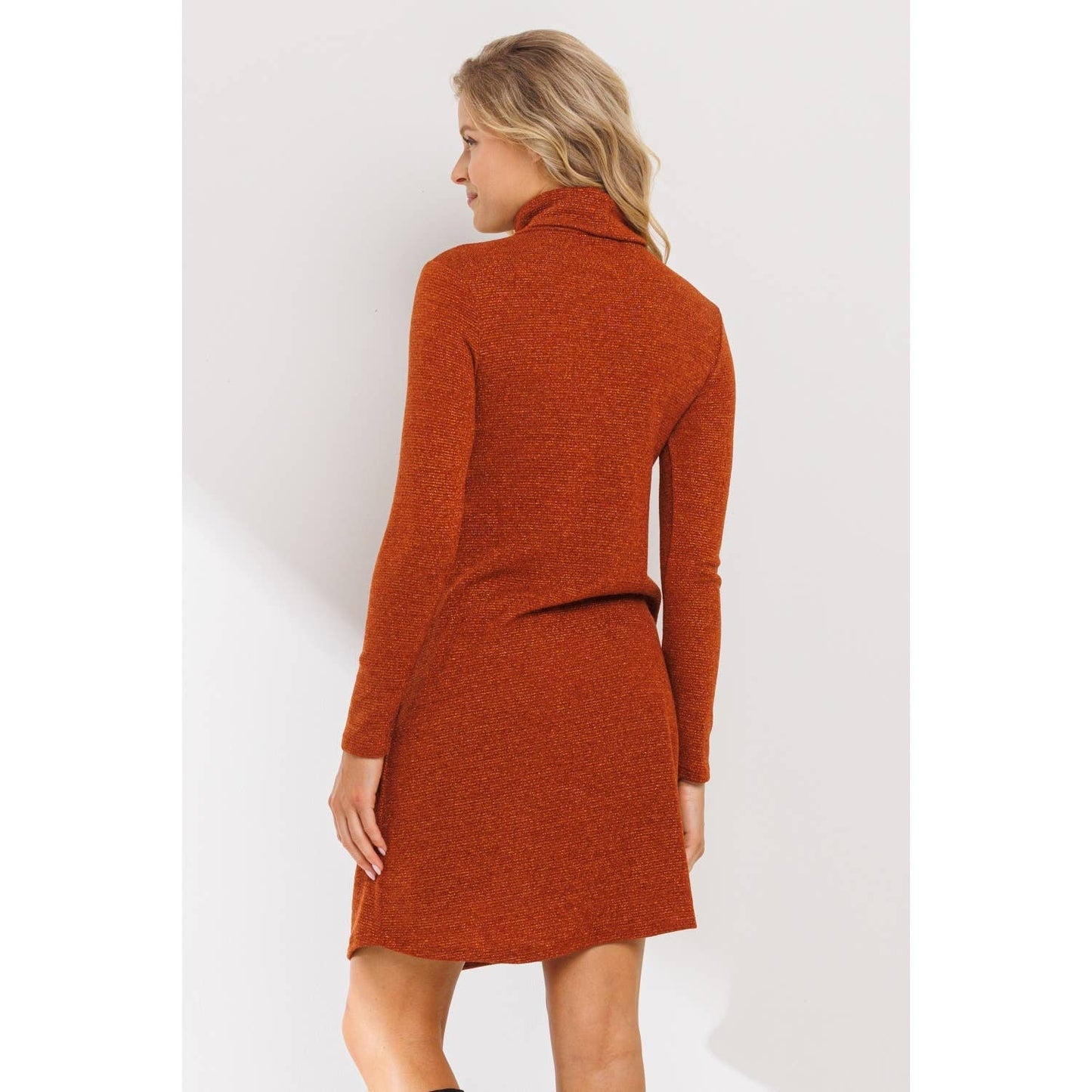 Turtle Neck Shimmer Knit Maternity Dress