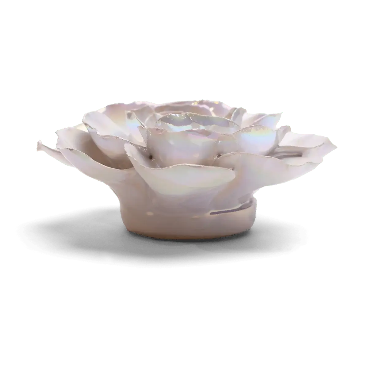 Premium Ceramic Flowers - Handcrafted Box Pearl Ranunculus