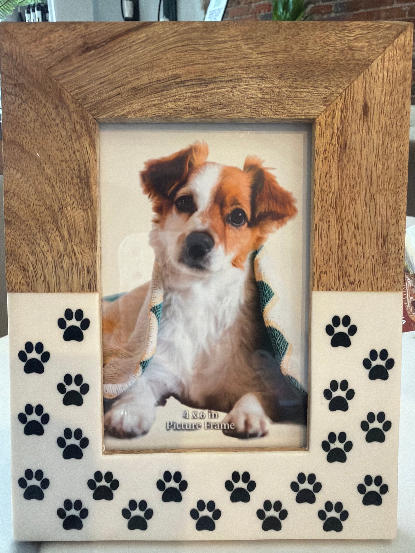 Pet Frame