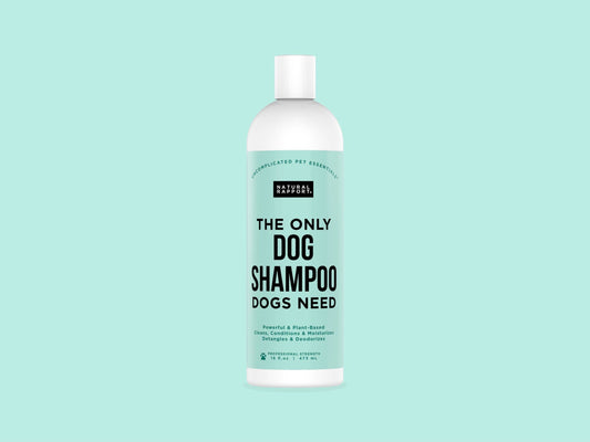 The Only Dog Shampoo Dogs Need