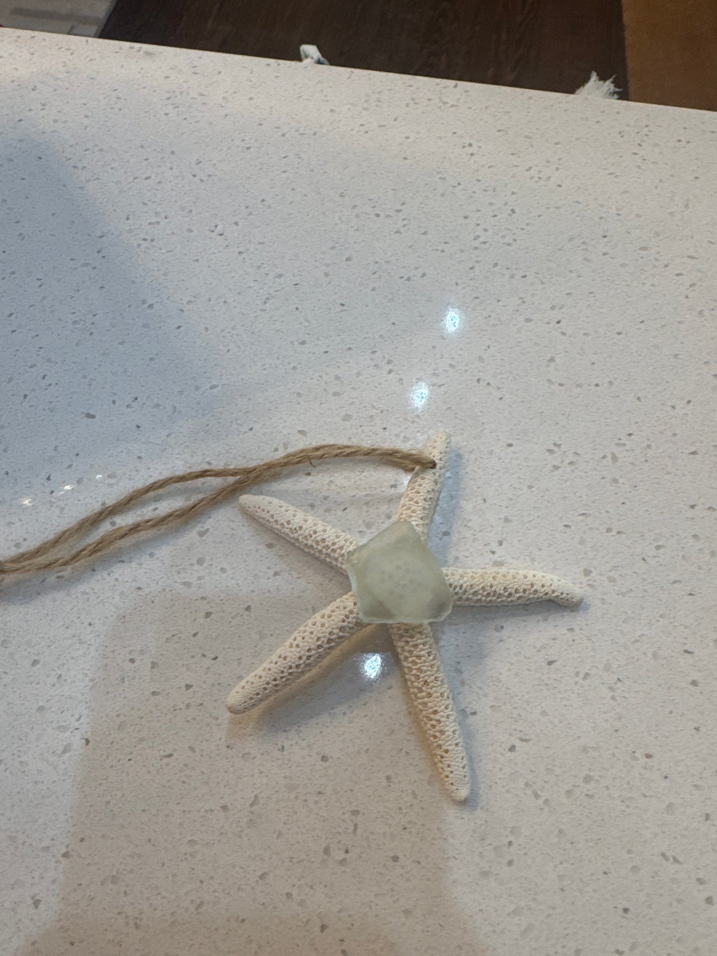 Starfish w/glass