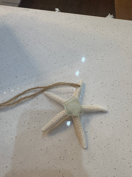 Starfish w/glass