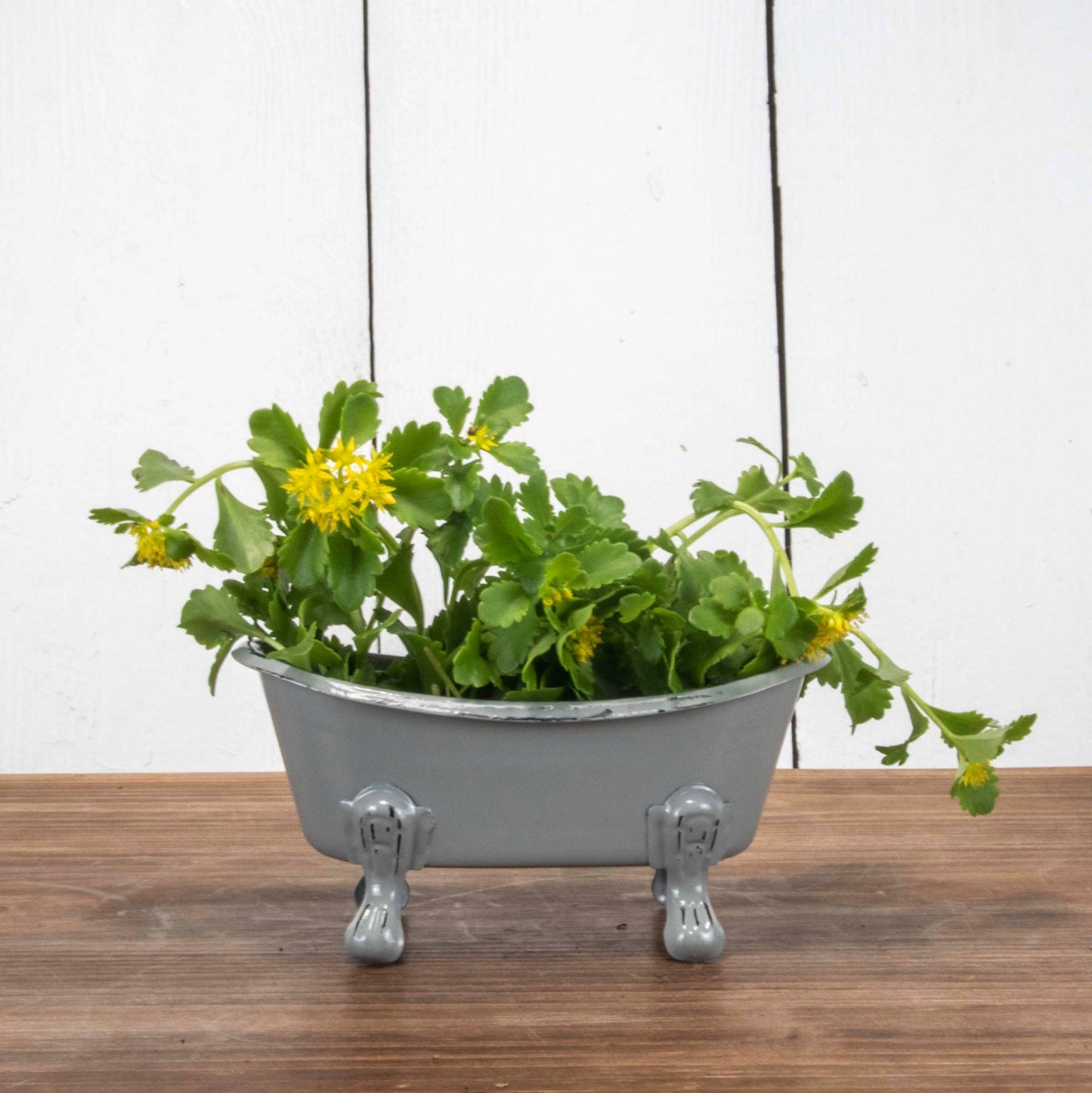 Gray Distressed Enamel Bathtub Soap Dish