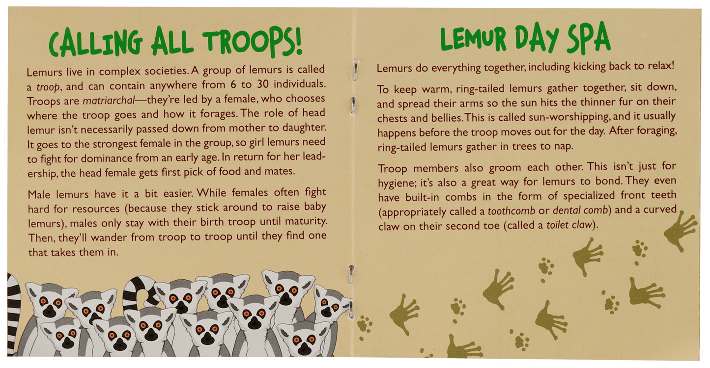 Hug a Lemur Kit