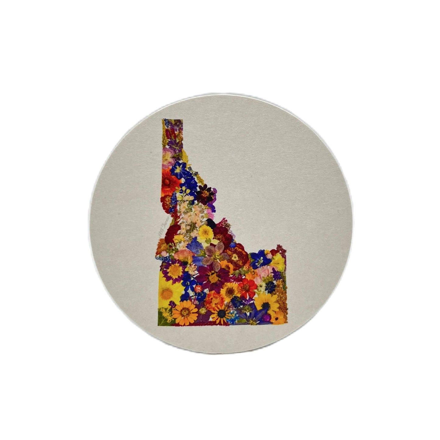 "Where I Bloom" State Coasters- Set of 6