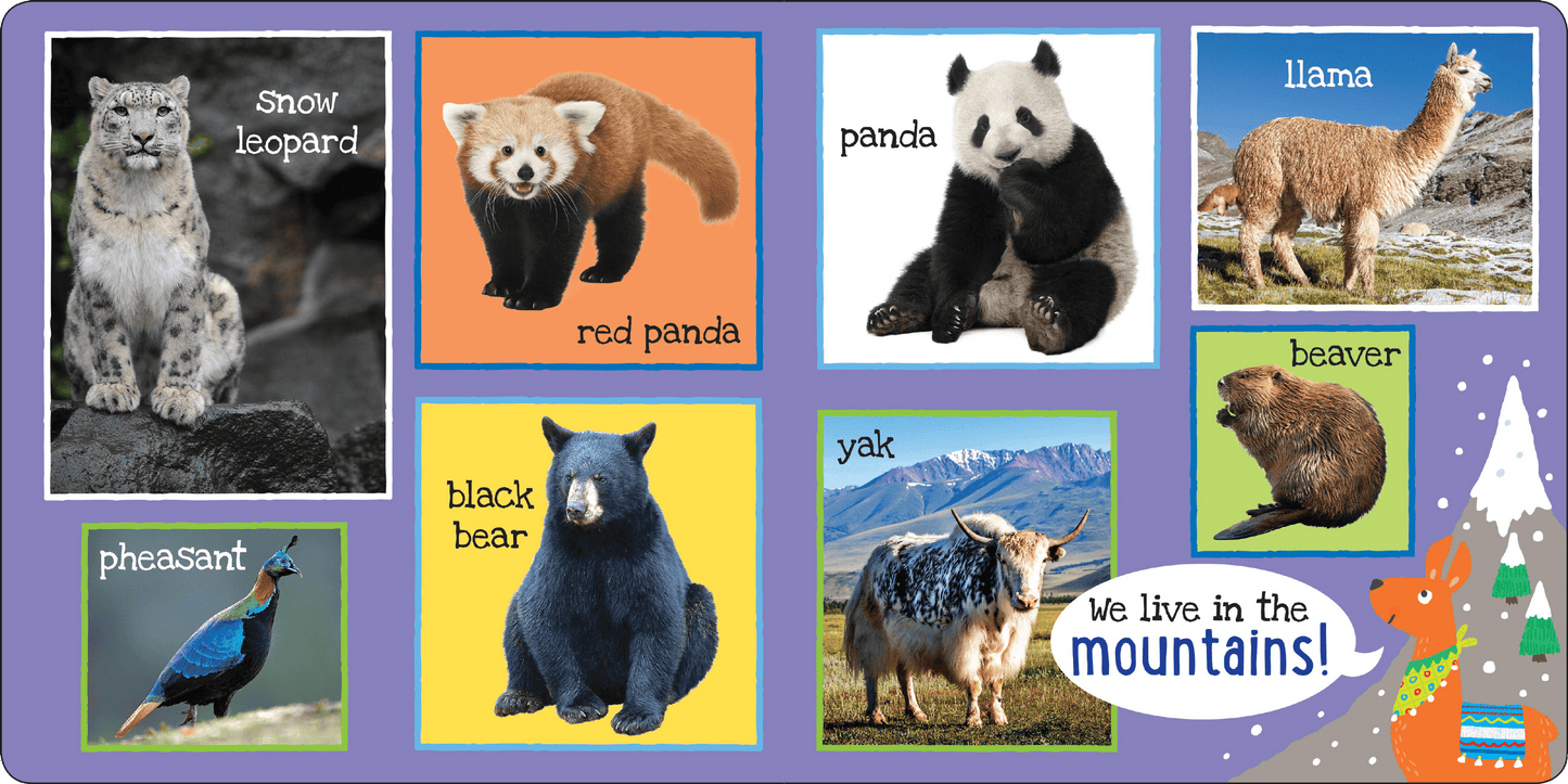 My First 101 ANIMALS Board Book