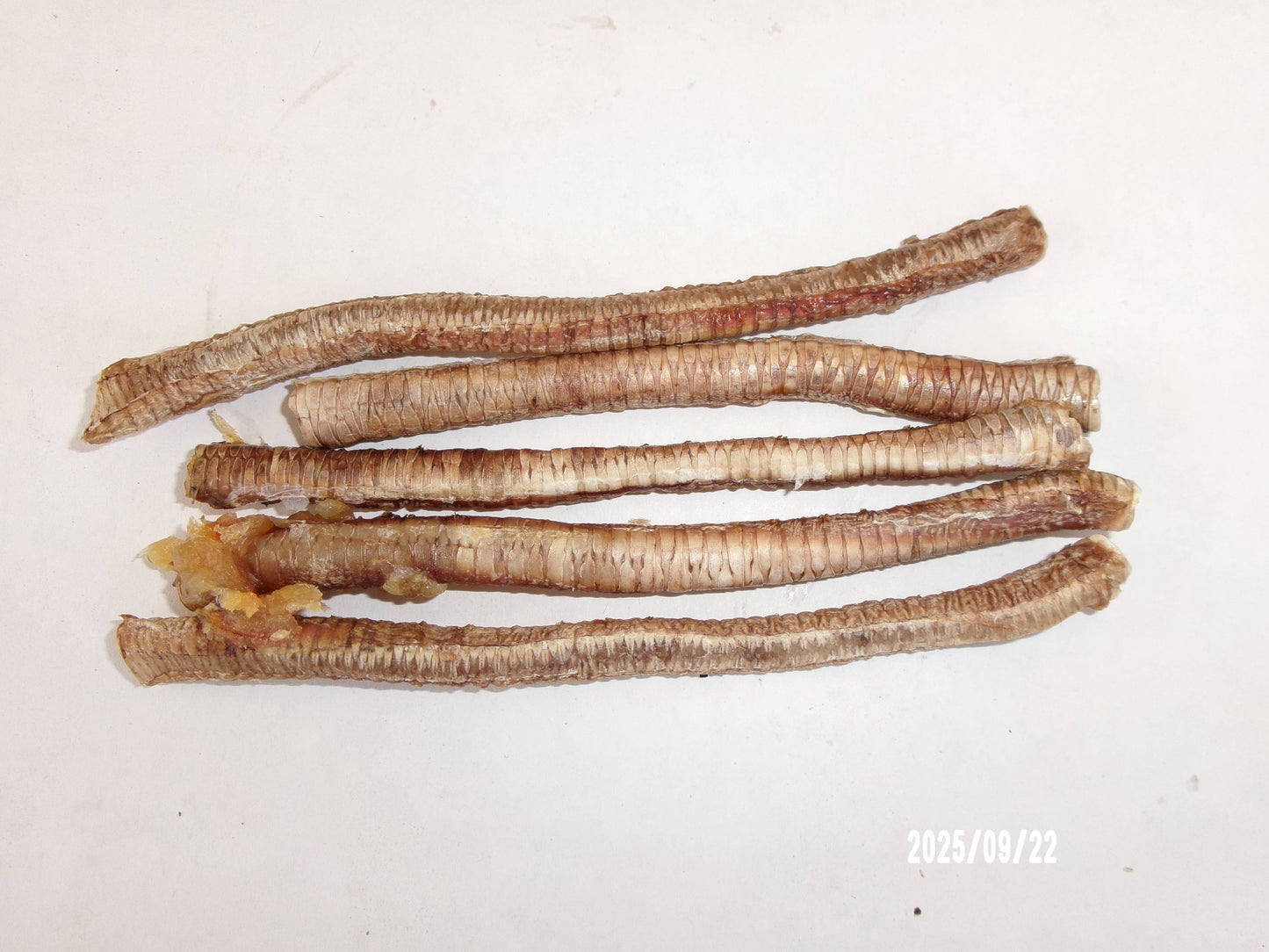 Duck Trachea Pcs./1oz.