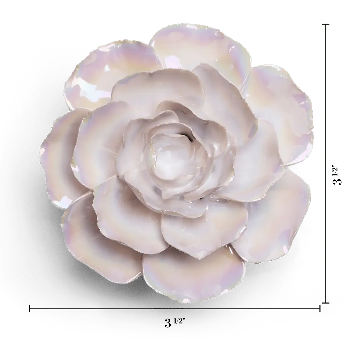 Premium Ceramic Flowers - Handcrafted Box Pearl Ranunculus