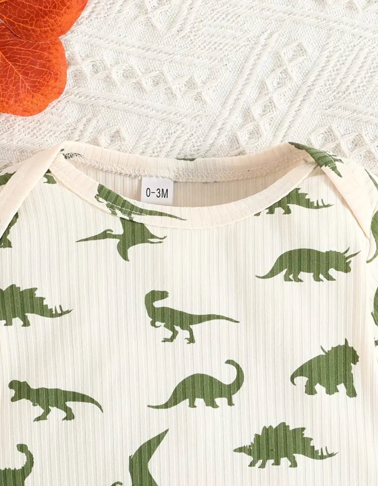 Dino Pajamas