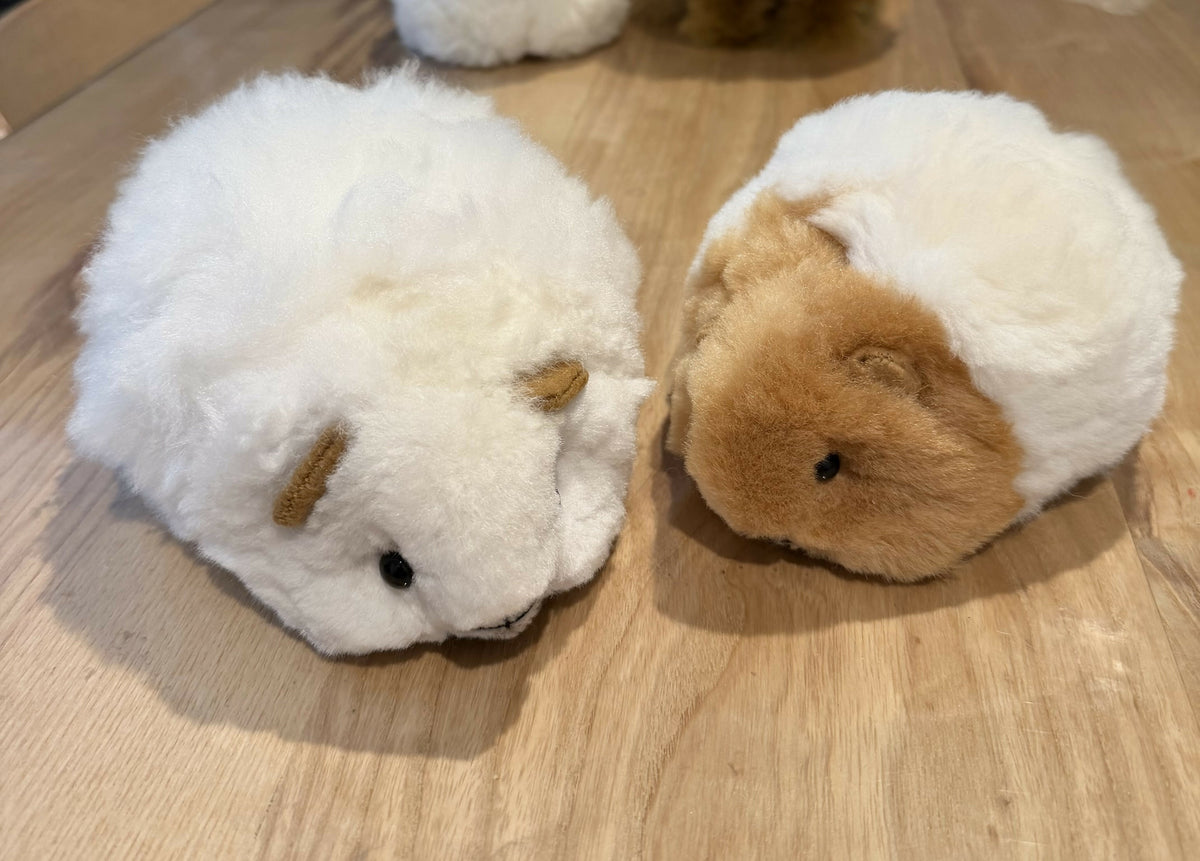 Guinea pig grande