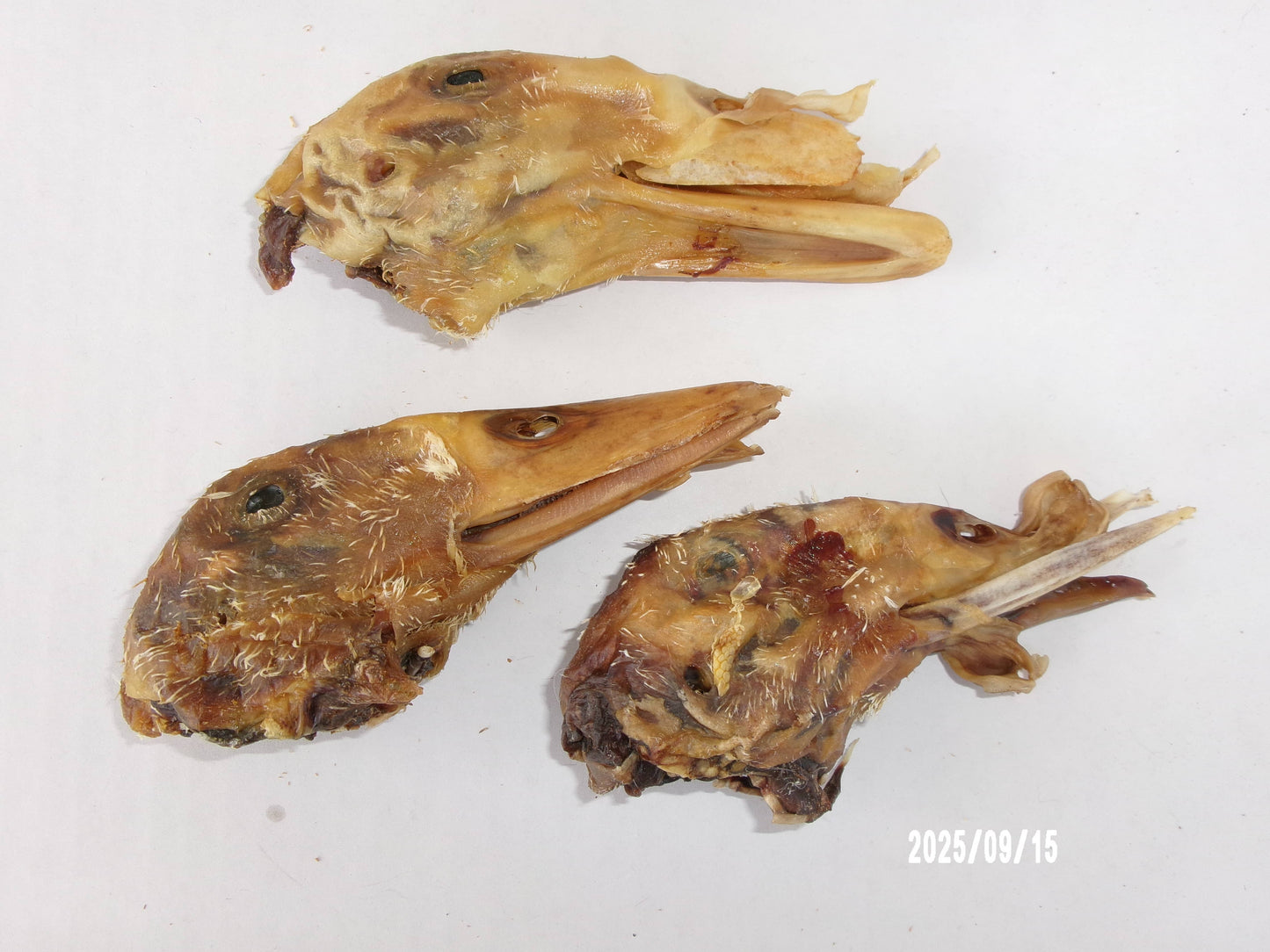 Duck Head 2Pk