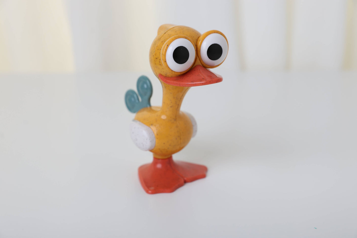 Crazy Eyed Bird