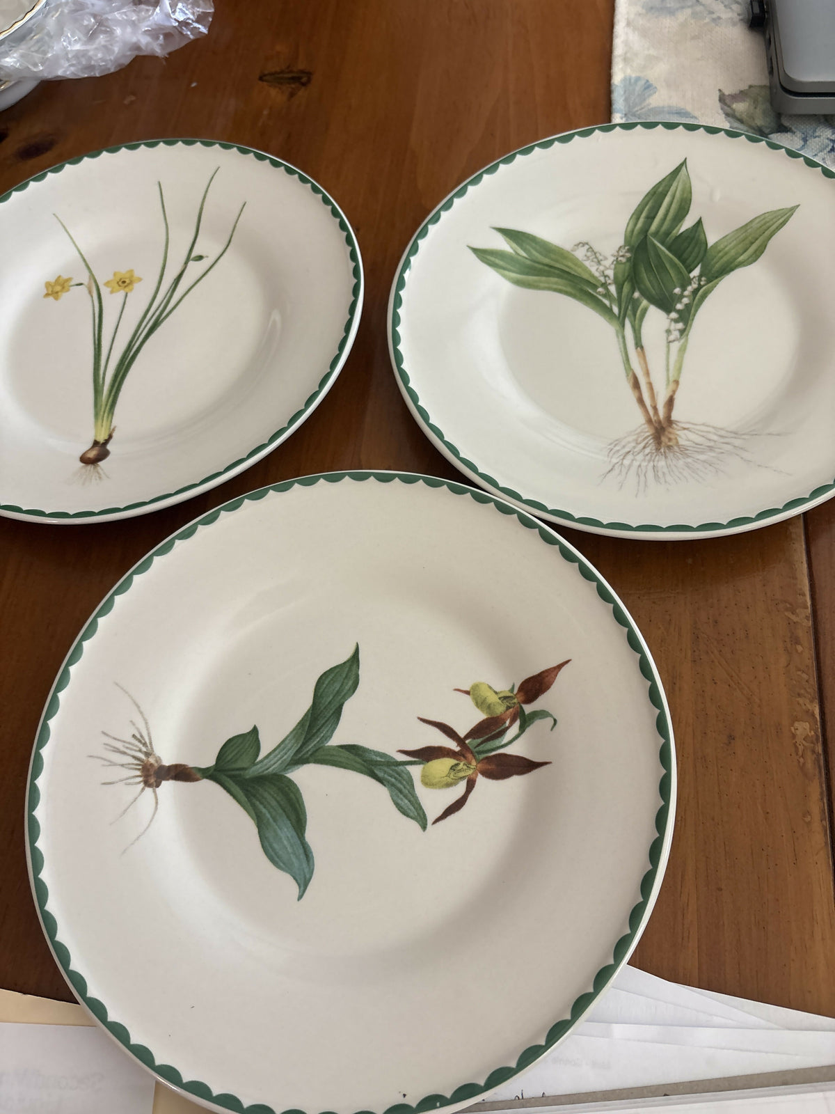 Three plant plates with green border
