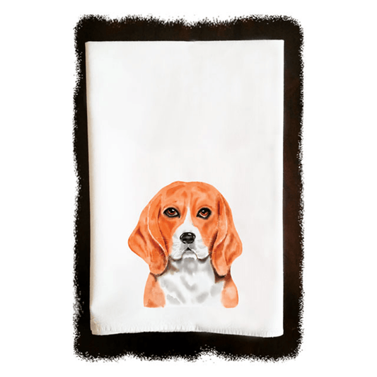 Beagle