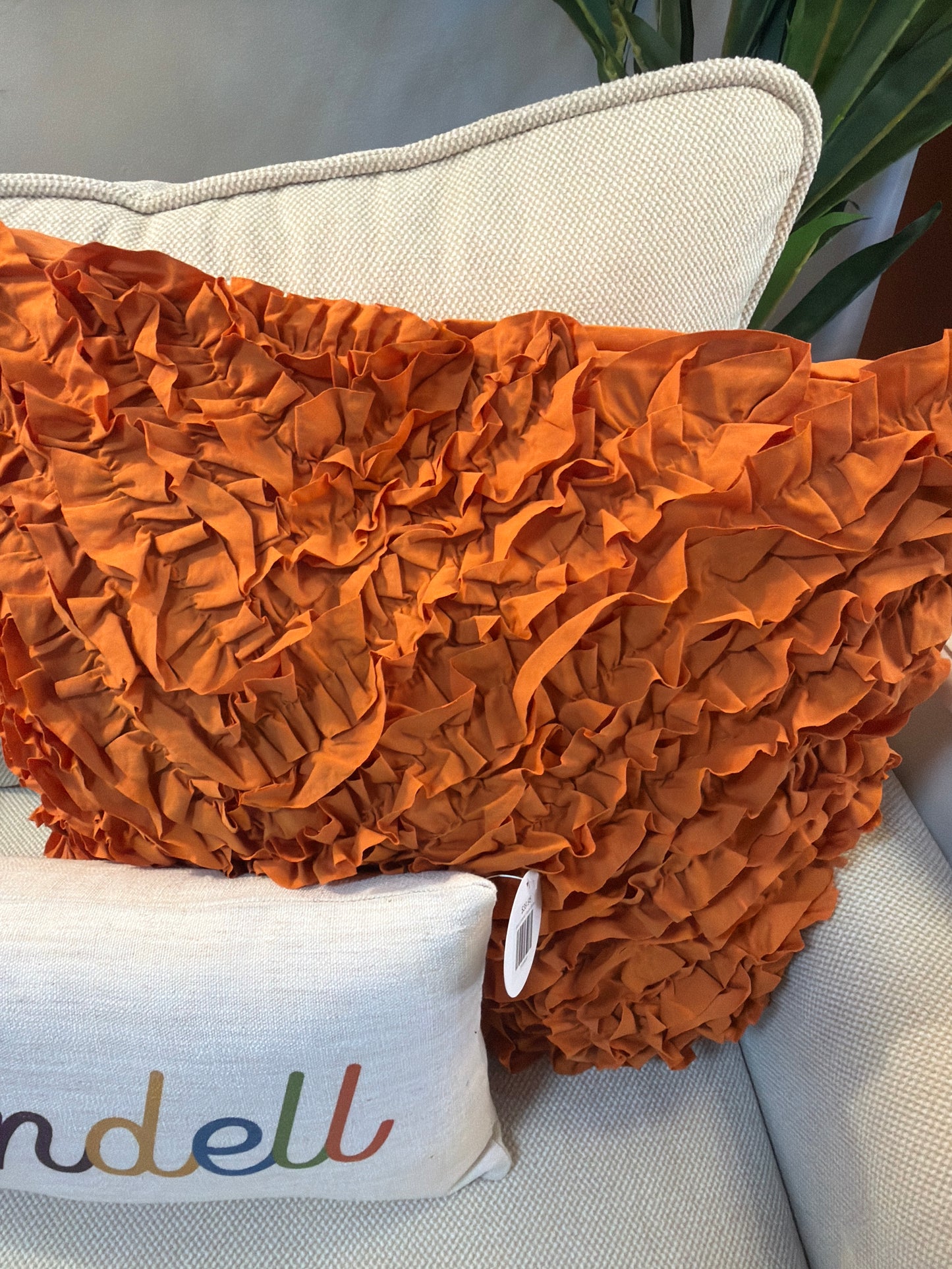 Burn Orange Pillows