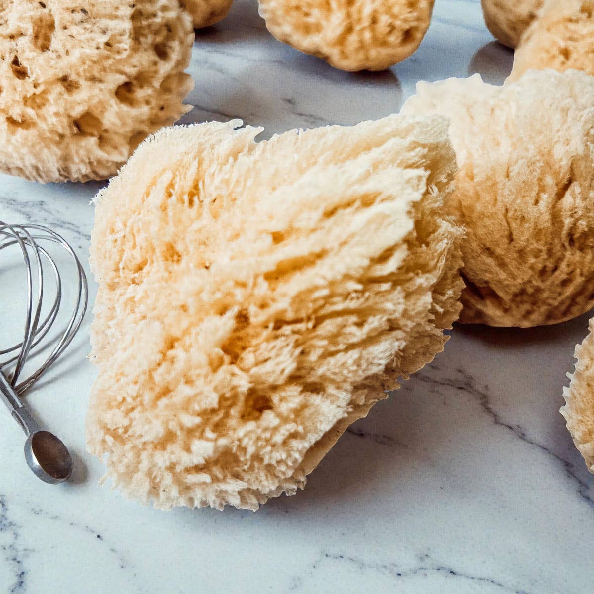 Dead Sea Sponge, All Natural Body Wash Loofah 4-5"
