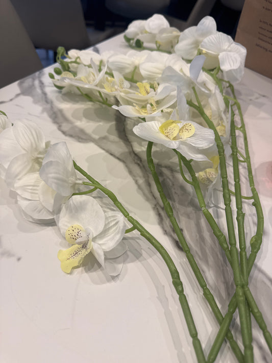 Spring Floral Wt