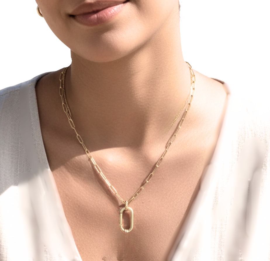 Lexi Charm Collect and Paperclip 18" Waterproof Necklace PVD