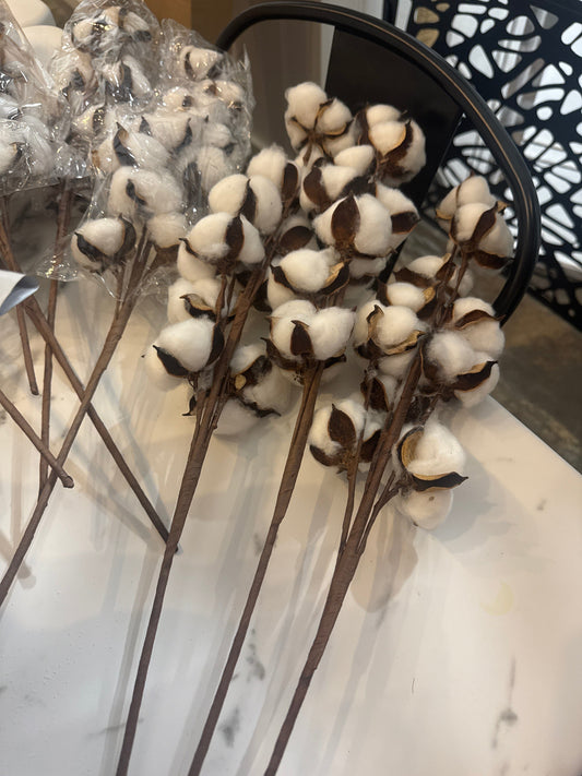 Cotton Stems