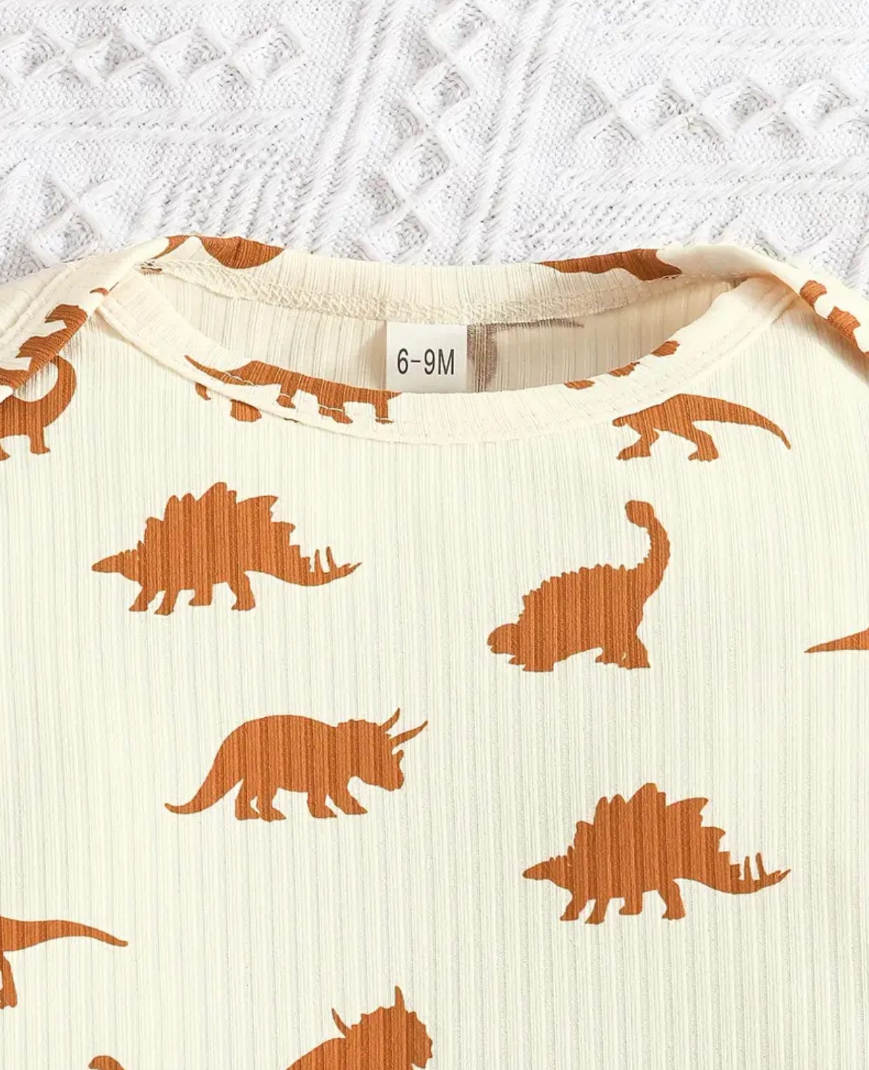 Dino Pajamas