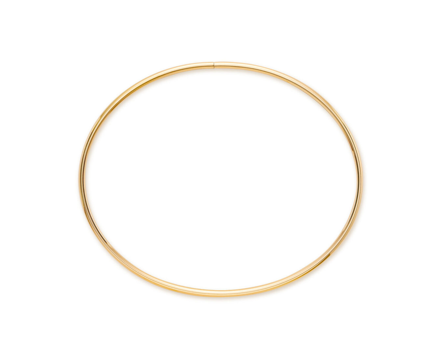 Shaye Bangle Anklet- Titanium Waterproof - flexible