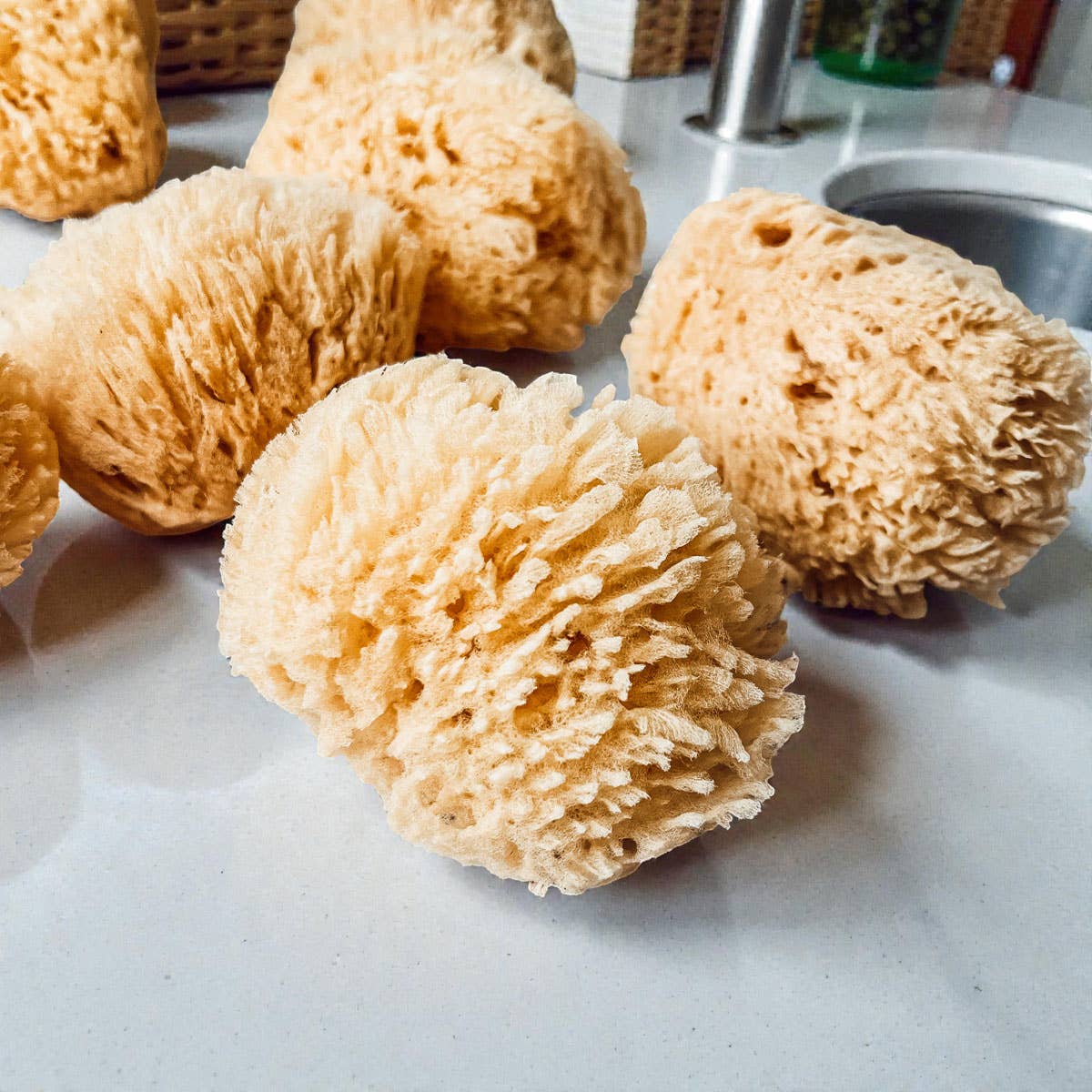 Dead Sea Sponge, All Natural Body Wash Loofah 4-5"