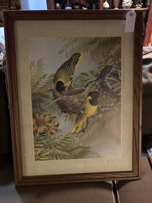 Cuckoo’s print