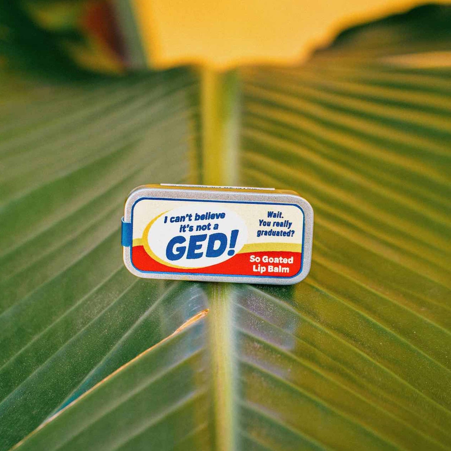 I Can't Believe It's Not a GED! Lip Balm | Funny Old School