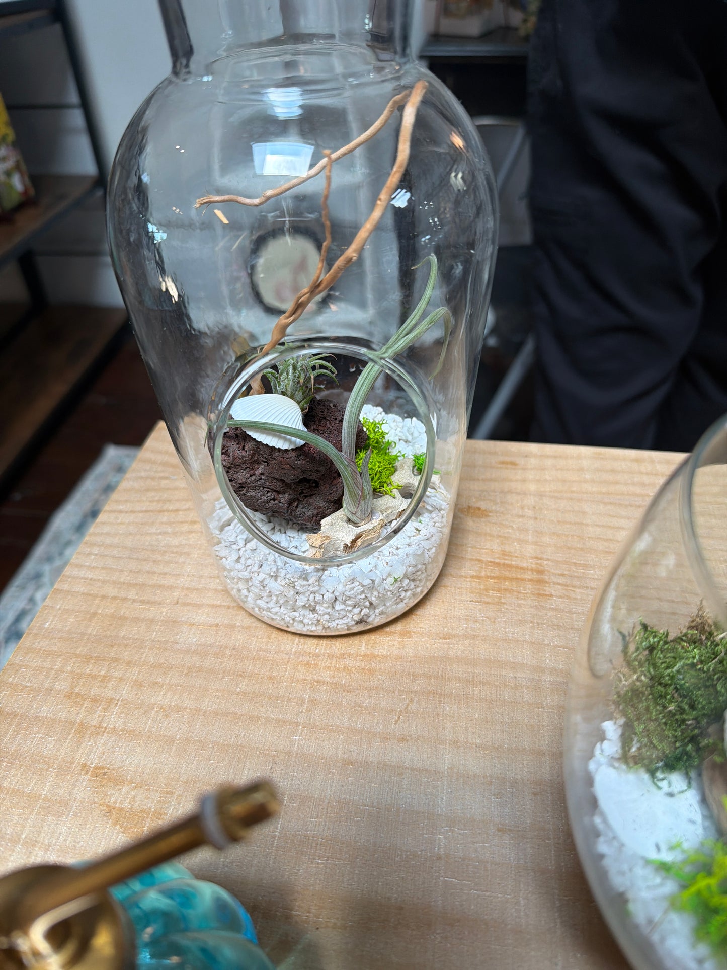 Designer Terrarium LG
