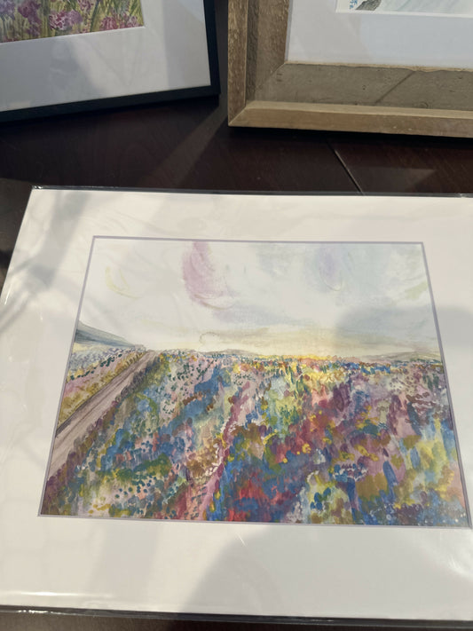 8x10 Print matted to 11x14 “Field of Beauties”
