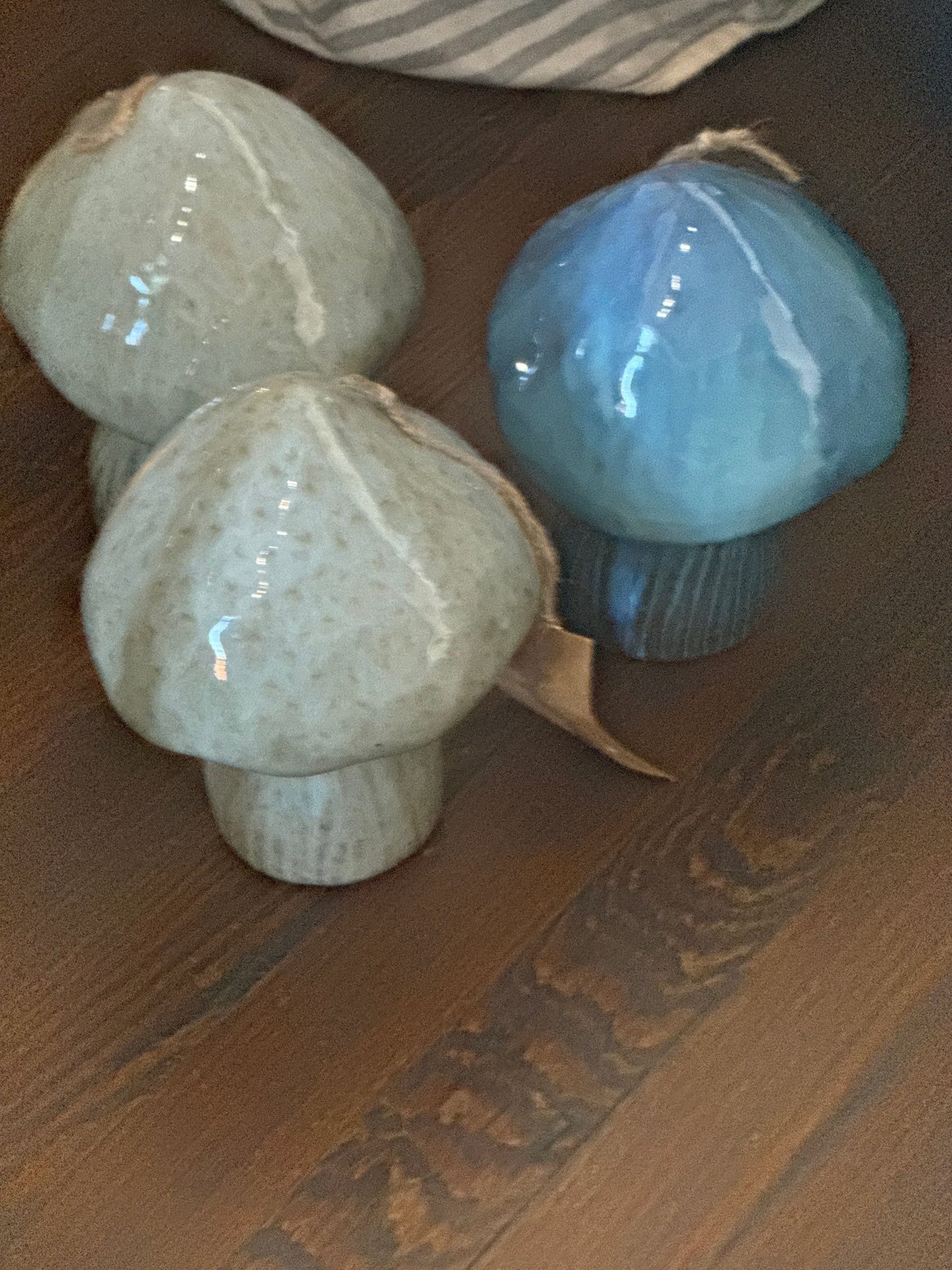 Garden Mushrooms