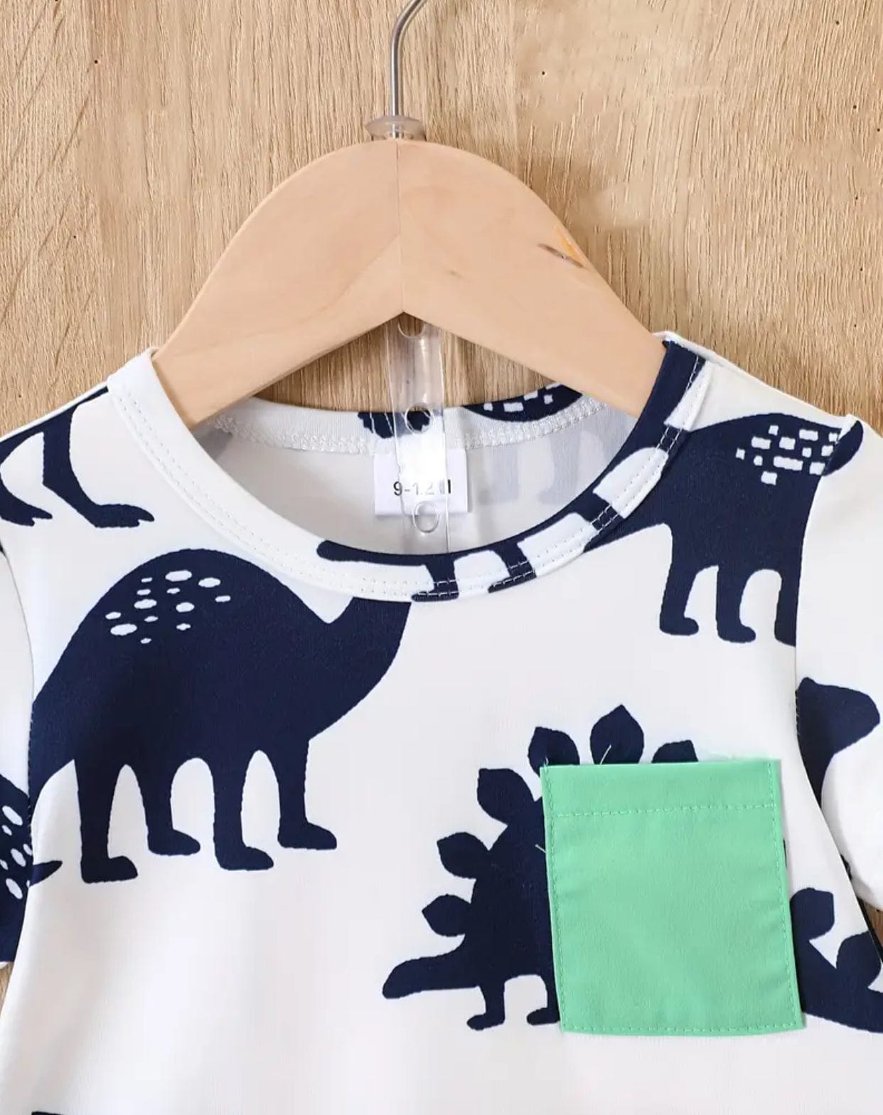 Dino Shirt and Shorts Set