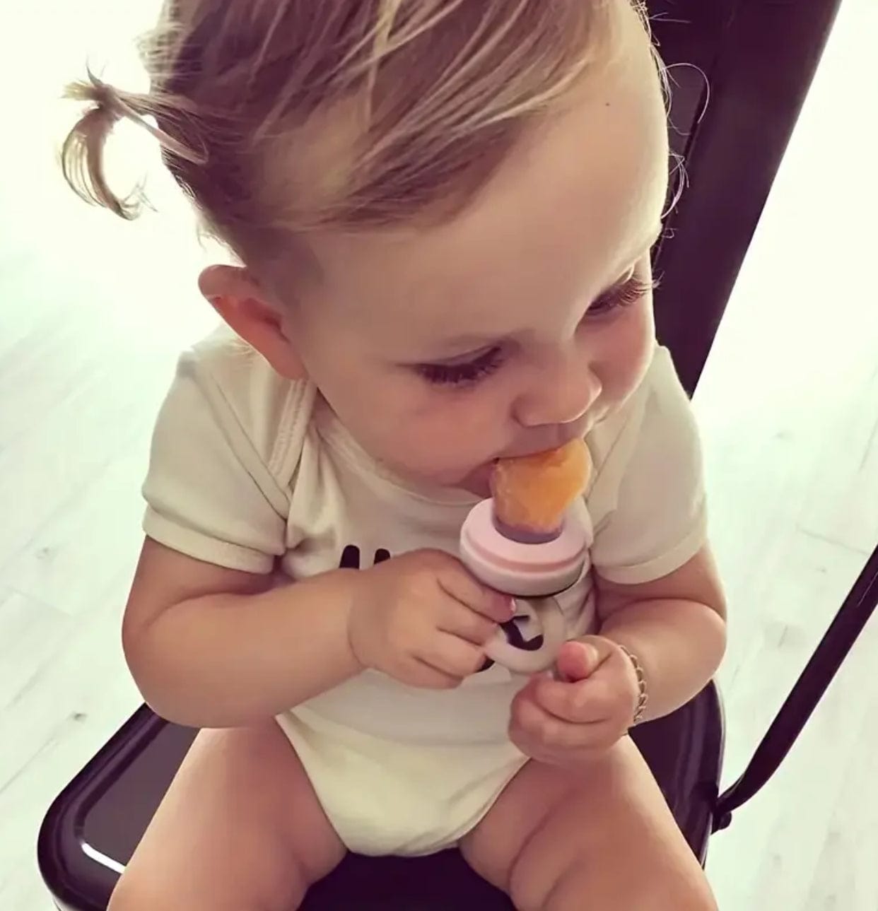 Fresh Food Feeder & Teether
