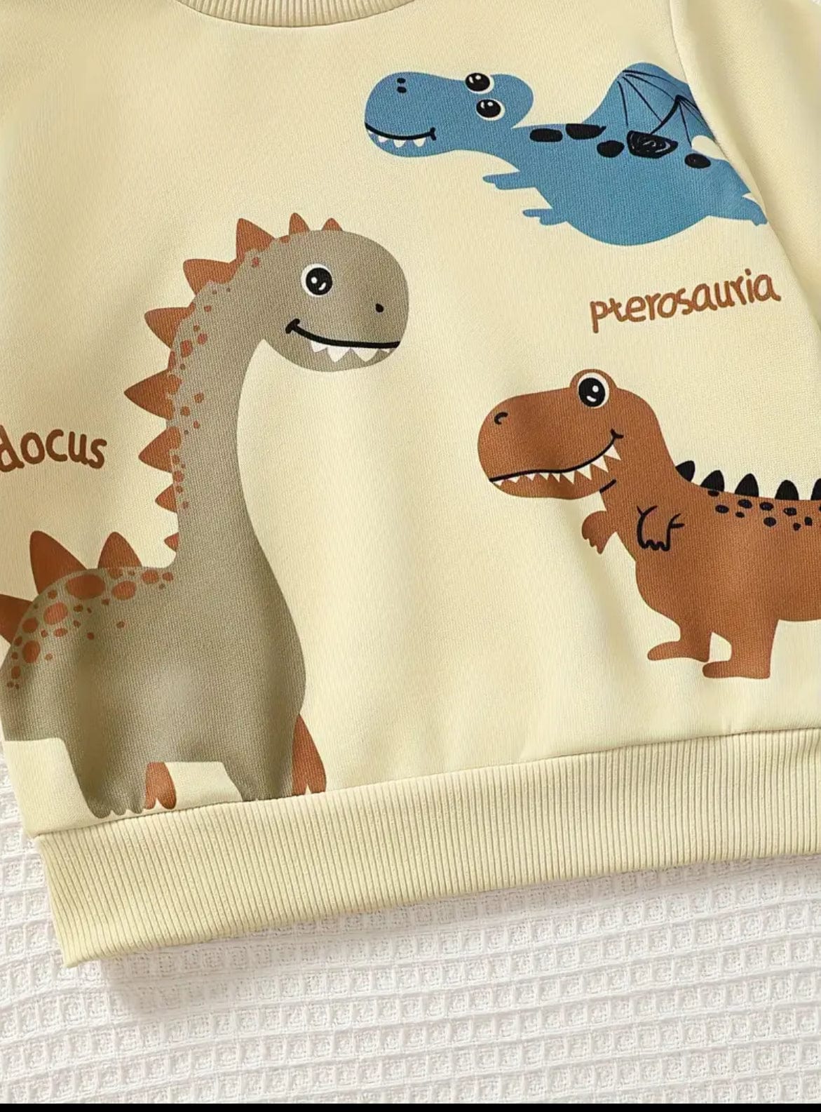 Dinosaur Print Sweatshirt and Jeans Set