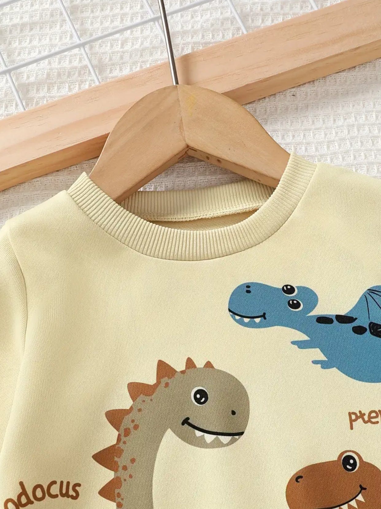 Dinosaur Print Sweatshirt and Jeans Set