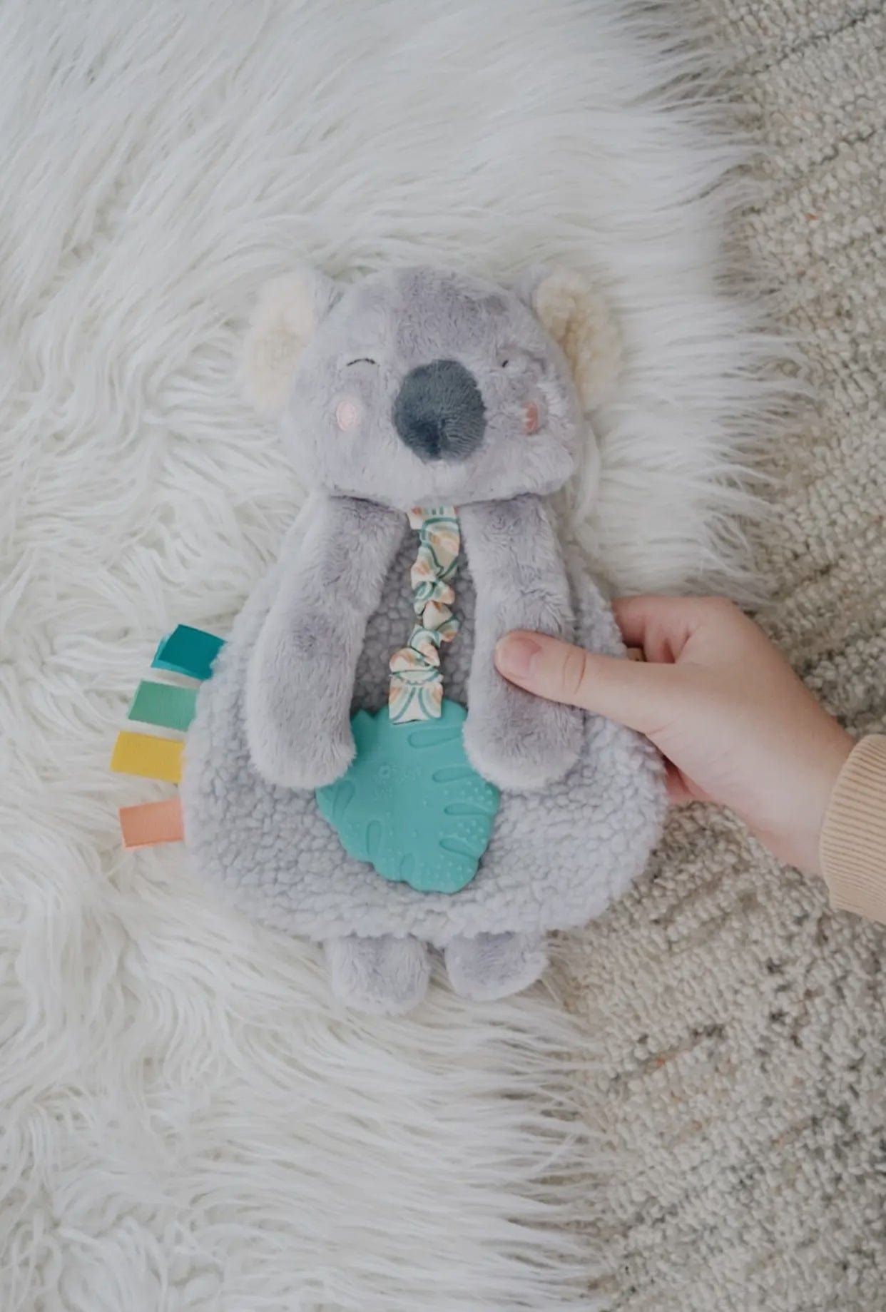 Kayden the Koala