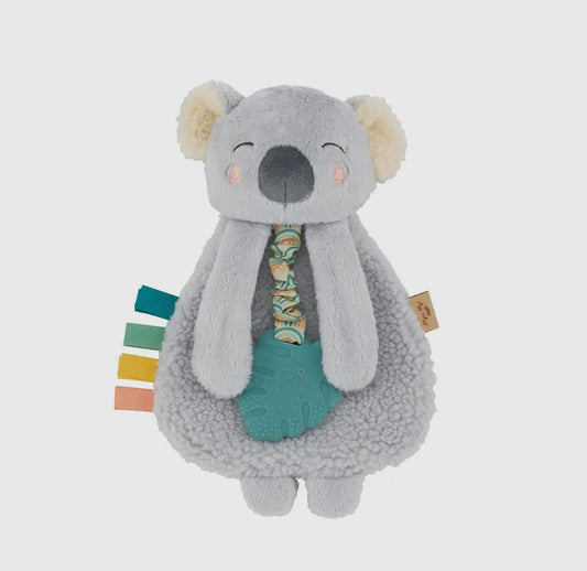 Kayden the Koala