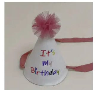 It’s My Birthday Party Hat