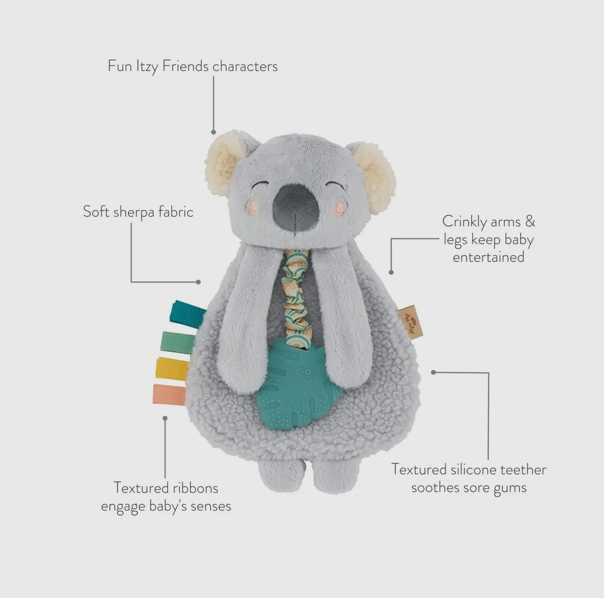 Kayden the Koala