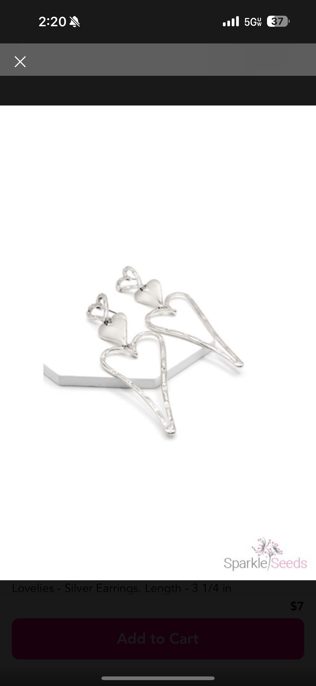Large Long-gated Silver Hearts SS Earrings