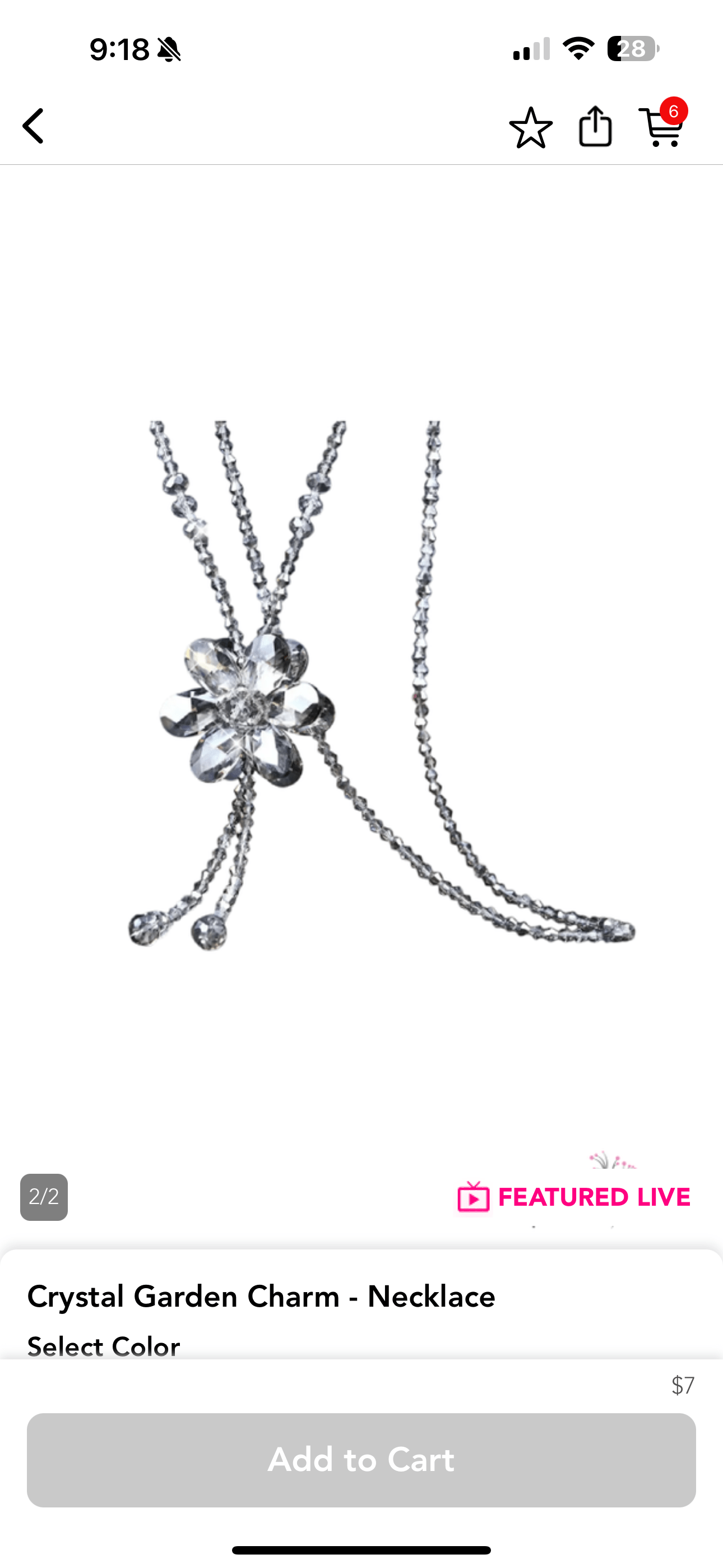 Crystal Garden SS Charm Necklace