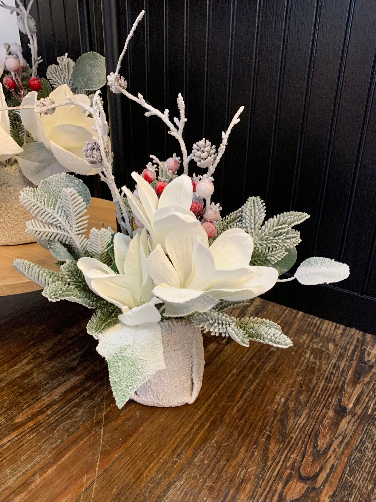 White Poinsettia