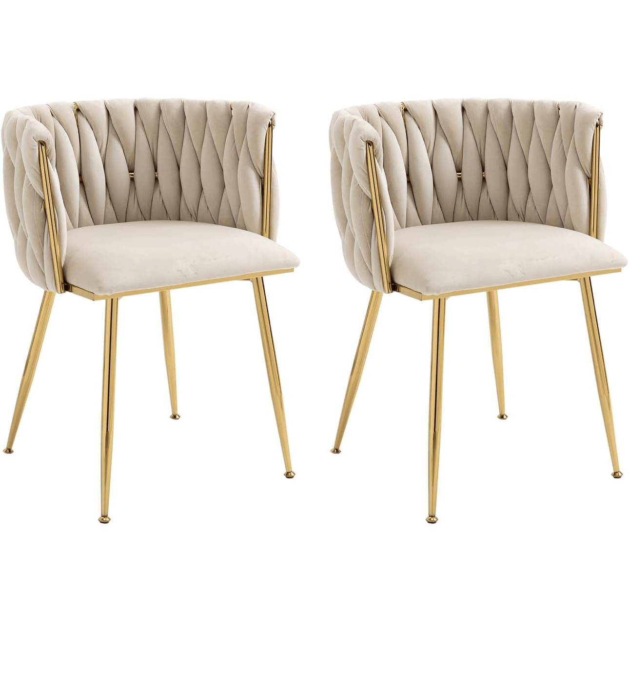 Elegant Modern Dining Chair