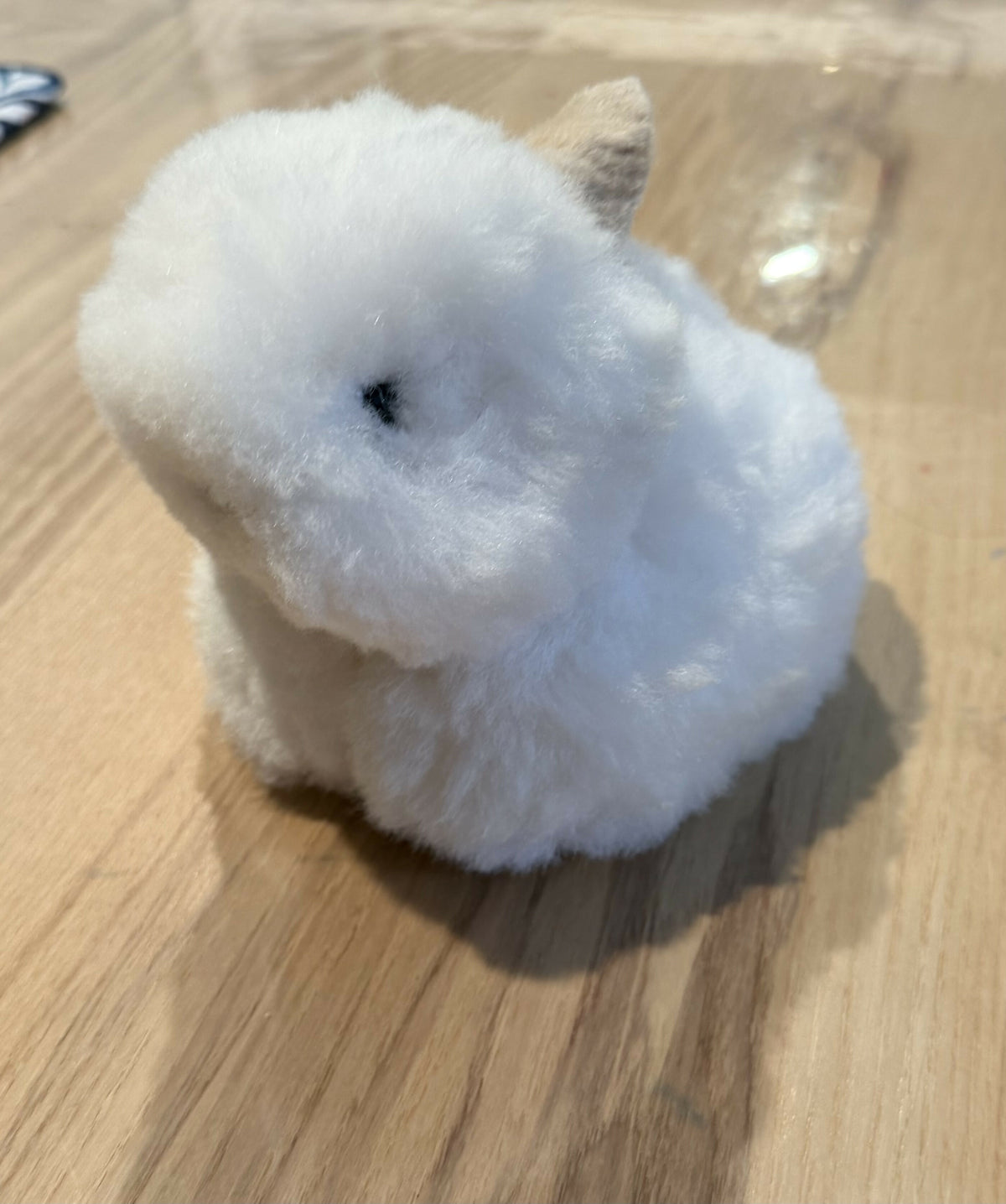 Conejo alpaca