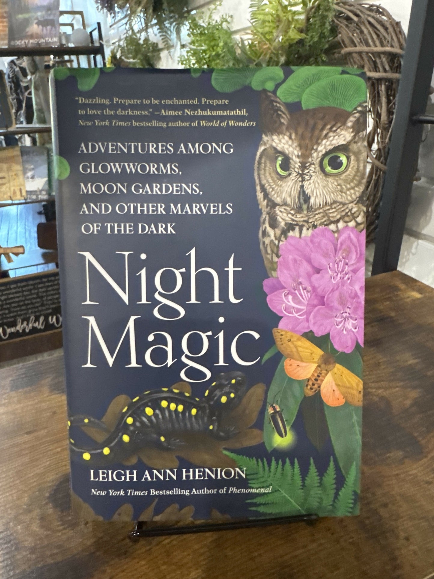Night Magic