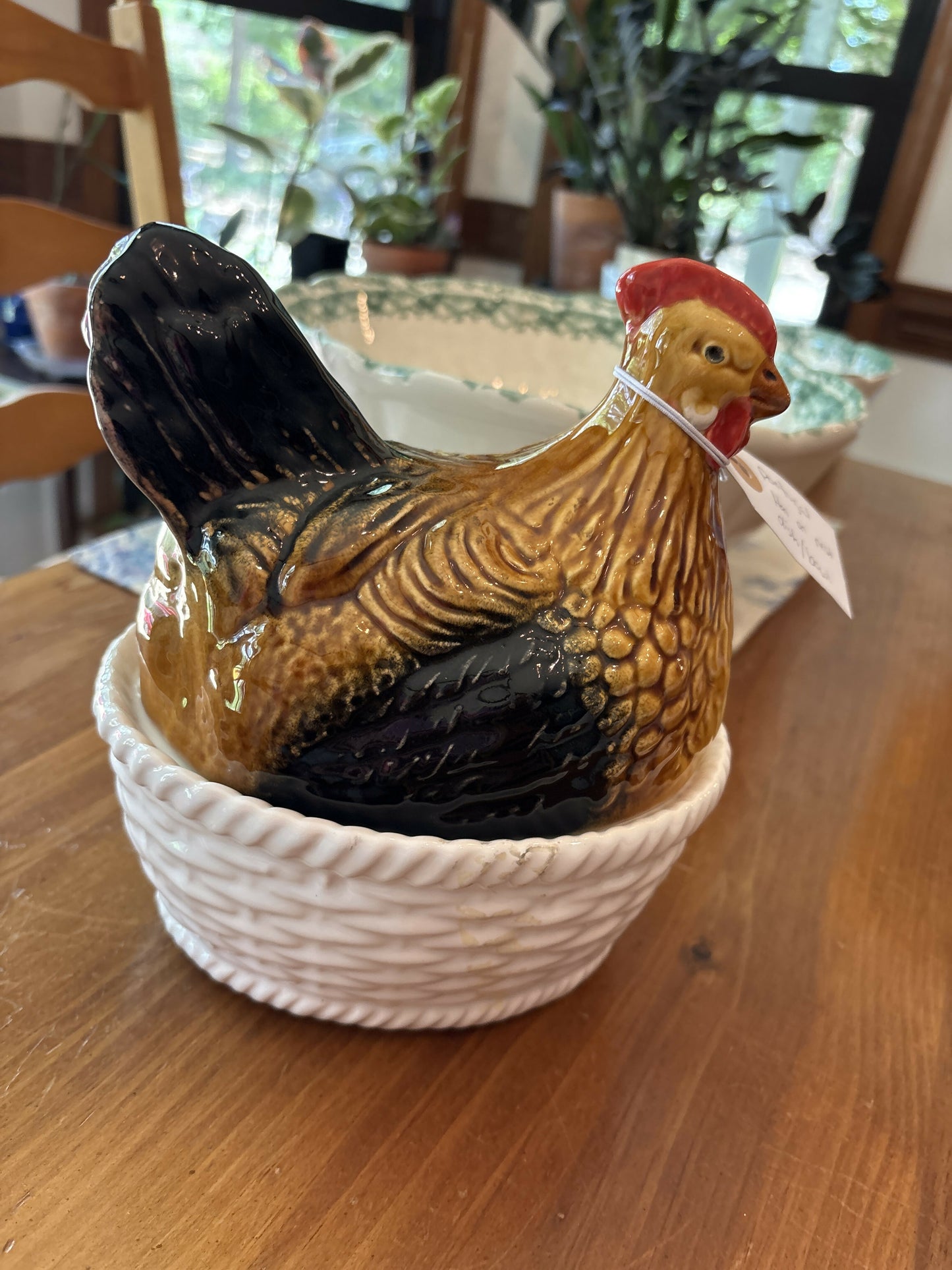 Hen on nest